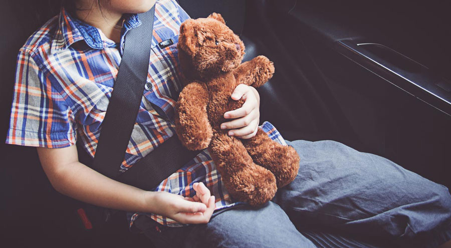 child wearing a seatbelt with teddy bear.